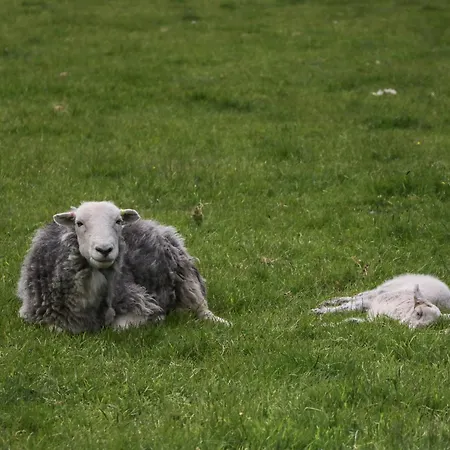 Prázdninový dům The Bird's Nest