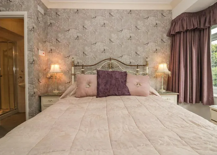 The Bird's Nest 温德米尔