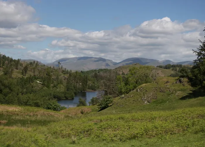 The Bird's Nest * 温德米尔