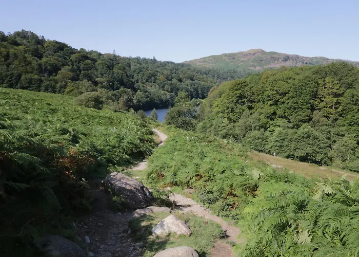 度假居 The Bird's Nest