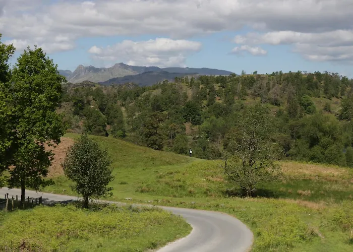 The Bird's Nest * 温德米尔