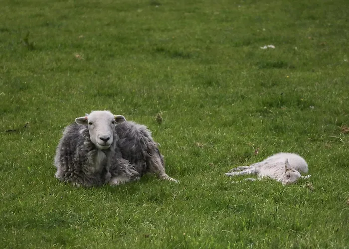 度假居 The Bird's Nest